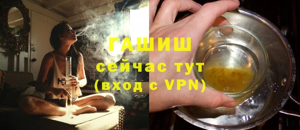 индика Галич