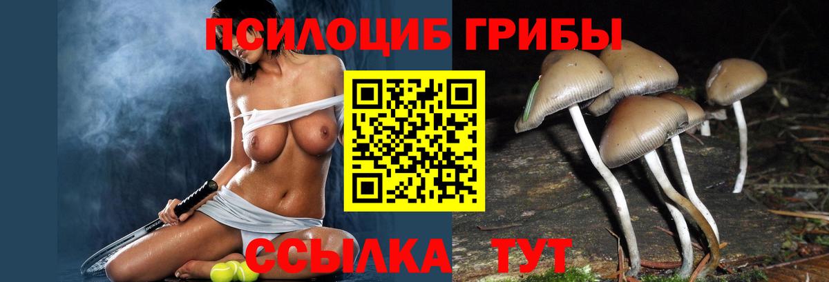 Псилоцибиновые грибы GOLDEN TEACHER Камень-на-Оби