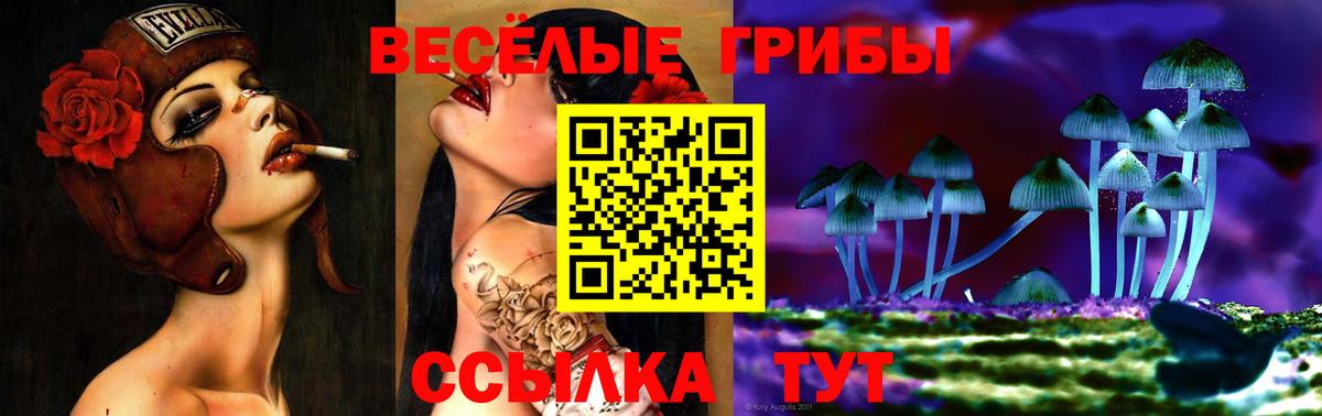 Камень-на-Оби  Псилоцибиновые грибы Cubensis  Галлюциногенные грибы ЛСД  Вход с VPN 